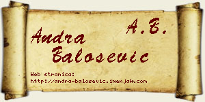 Andra Balošević vizit kartica
